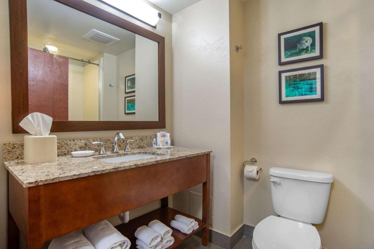 Comfort Suites Tallahassee Capitol - University Area Стая снимка